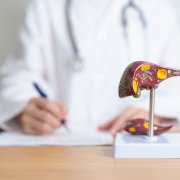 Liver Health - Lokahi Acupuncture