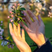 Nourish Vitality and Balance this Spring with Traditional Chinese Medicine