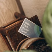 Gentle Detox for a Fresh Start