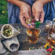 Herbs for Menopausal Insomnia