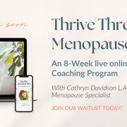 Menopause Program Menopause Program
