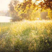 The Fifth Season is Late Summer